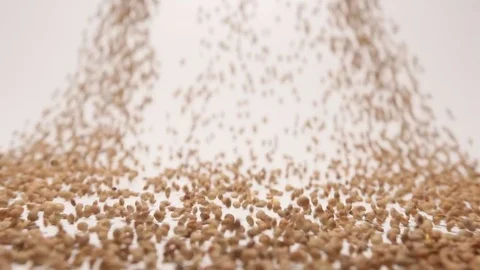 SLOW MOTION: Stream of lentil moving to a camera Stock Footage 70573036