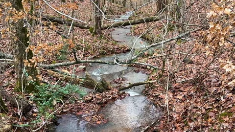 Slow motion of stream running through north Georgia forest Stock Footage 297820103