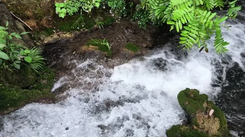 Slow Motion Stream Rushing Over Mossy Rocks Video stock 345975149