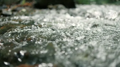 Slow motion of stream water running fast in nature forest Vídeos de archivo 159326009