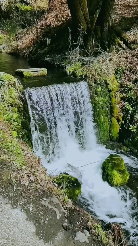 Slow Motion of a Stream Waterfall Stock Footage 310427480
