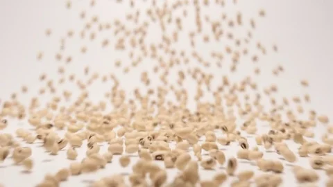 SLOW MOTION: Stream of white bean moving to a camera Stock Footage 70572818