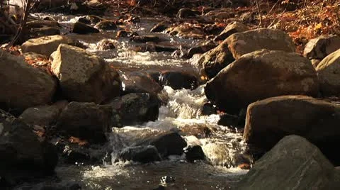 Slow Motion Stream in woods, loop-able Stock Footage 8983985