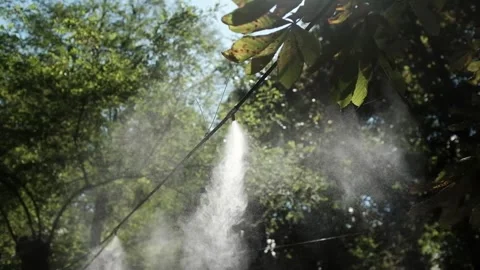 Slow motion of a summer cooling mist in a park. Summer cooling water spay Stock Footage 316920646