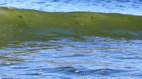  Slow motion. Summer  Sea waves  close up Stock-Footage 66783795
