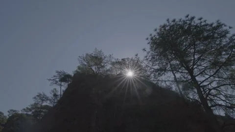 SLOW MOTION, SUN FLARE, CLOSE UP, LOW ANGLE: Cinematic mountains forest view Video stock 245460139