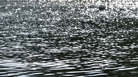 Slow Motion Sun Lake Reflection Stock Footage 152805970