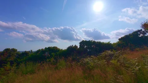 Slow motion sun shining over rural hillside bushes and blue sky Stock Footage 340440702