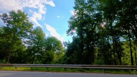 Slow motion of sunlight beaming through the mountain trees Stock Footage 149260931