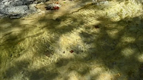 Slow motion: sunlight effects of water flowing into a pond on a mountain river Stock-Footage 211743895