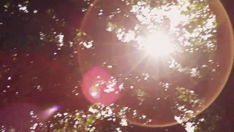 Bright Pink Light Lens Flare Effect Stock Footage Video (100% Royalty-free)  1034624282