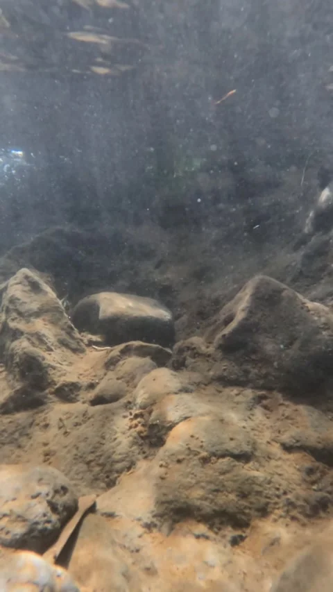 Slow motion of sunlight shining on clear river water Stock Footage 319906360