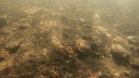 Slow motion of sunlight sparkling in river water Stock Footage 319876284
