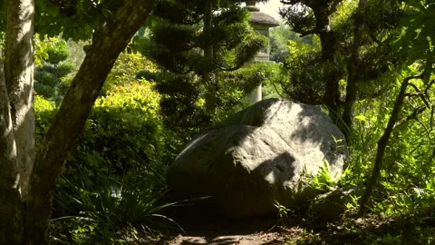 Slow Motion Sunlit Boulder in Lush Garden Vídeos de archivo 327567248