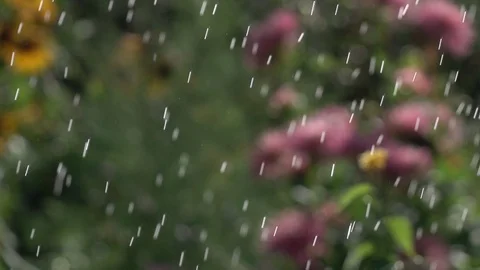 Slow motion of sunny rain on defocused summer garden backdrop. Stock Footage 103595202