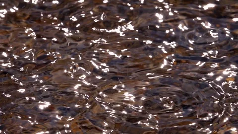 Slow motion of sunny rain with round waves and play of light in shallow water Stock Footage 98095565