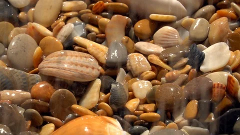 Slow motion of sunny rain on shingle beach with large sea shells close up. Stock Footage 98097640