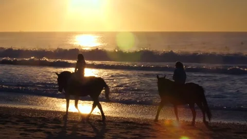 A slow motion sunset at the beach with horse riders Stock Footage 304525410