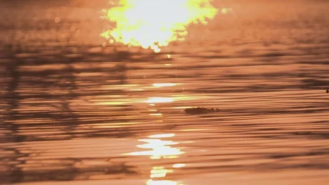 Slow motion Sunset Stock Footage 241651286