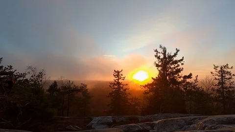 Slow motion sunset forest landscape Stock Footage 96585260