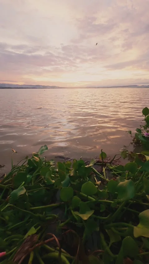 Slow Motion Sunset Over the Water with Clouds Stock Footage 311620483