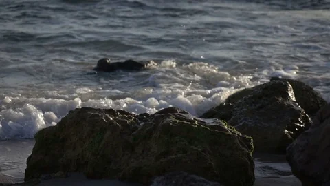 Slow Motion Surf Among Rocks on Beach Stock Footage 78211052