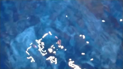 Slow motion surface boiling water Stock Footage 285833369