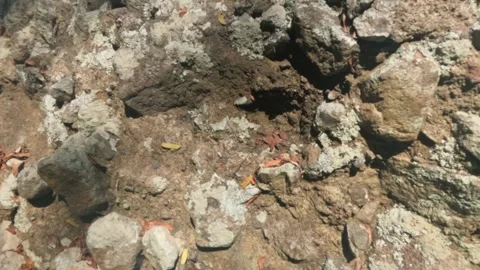 Slow motion of the surface of a rock Stock Footage 321324643
