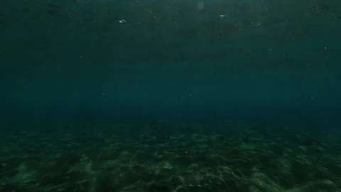 Slow motion the surface of the sea under water Video stock 118366012