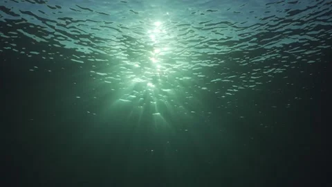 Slow motion, surface of the water and the setting sun Stock Footage 230990561