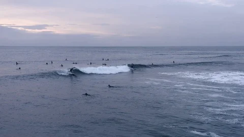 Slow motion surfers at dusk riding wave Stock Footage 112698571