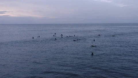 Slow motion surfers at dusk waiting for next wave, camera circles Stock Footage 112699371