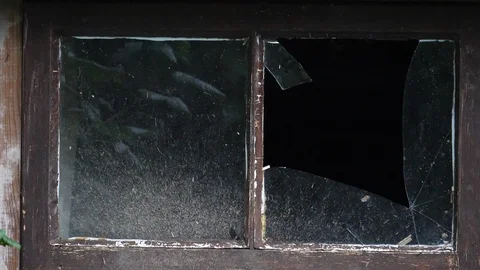 Slow motion swallow Hirundo rustica pair fly out through broken window Stock Footage 87046392