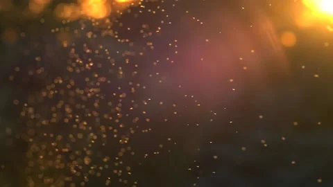 Slow motion of swarm of midges flying during sunset with bokeh in background Stock Footage 172153092
