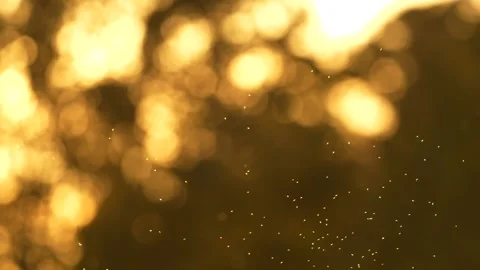 Slow motion of swarm of midges flying above field during golden hour Stock Footage 172153122