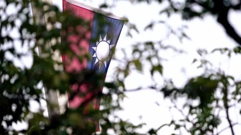Slow motion of Taiwan flag against modern building and foliage Stock Footage 314850830