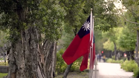 Slow motion of Taiwan flag in urban park, trees along walkway Stock Footage 316699882