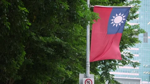Slow motion of Taiwan flag waving on a pole with green background Stock Footage 310853318