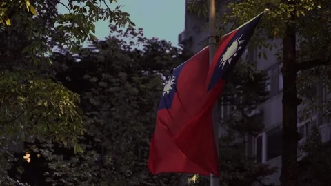 Slow motion of Taiwan flag waving at dusk among trees Stock Footage 316699934