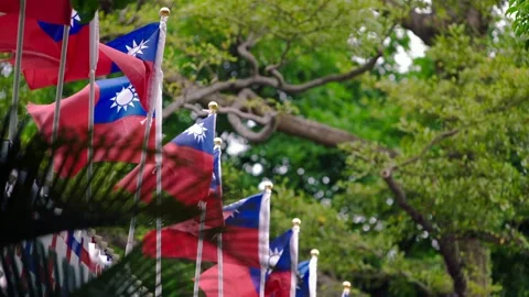 Slow motion of Taiwan flags with green foliage background Stock Footage 310853555