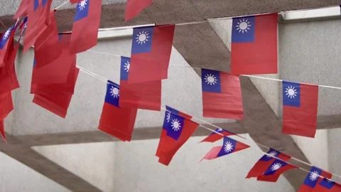 Slow motion of Taiwan flags hanging in rows outdoors Stock Footage 314850928