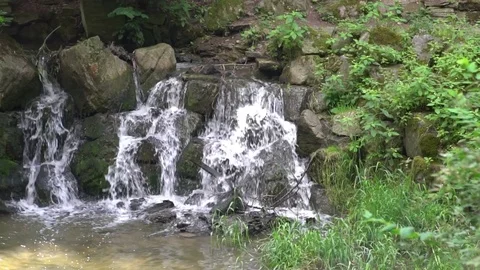 Slow Motion: Take a small waterfall in the woods. Stock Footage 77814636