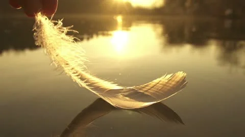 SLOW MOTION: taking the feather out of water Stock Footage 21640689