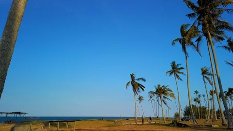 Slow motion of tall coconut trees with white cloud and blue skies 스톡 동영상 106363341