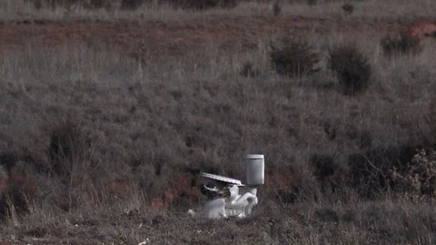 Slow Motion Tannerite Explosion Filmed with Phantom Camera At 8000 FPS Stock Footage 124245919