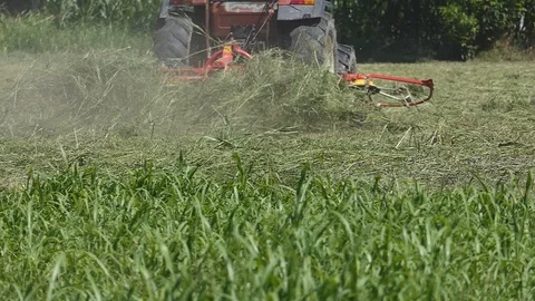Slow motion tedder in field Stock Footage 113570584