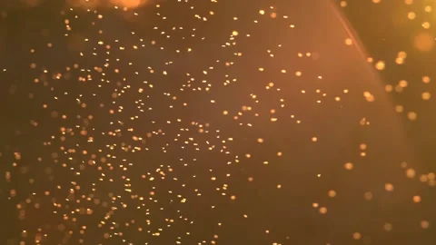 Slow motion of thousands of midges flying above field during sunset Stock Footage 172153064