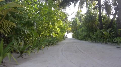 Slow motion through the forest on the sandy Maldives beach. Video stock 49019046