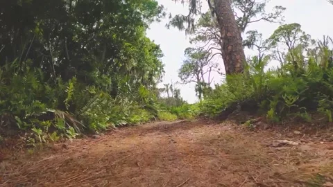 Slow-motion through a hiking trail. Stock Footage 152426203