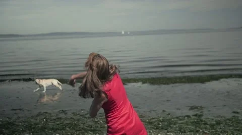 Slow Motion Throwing Rocks Stock Footage 40273531